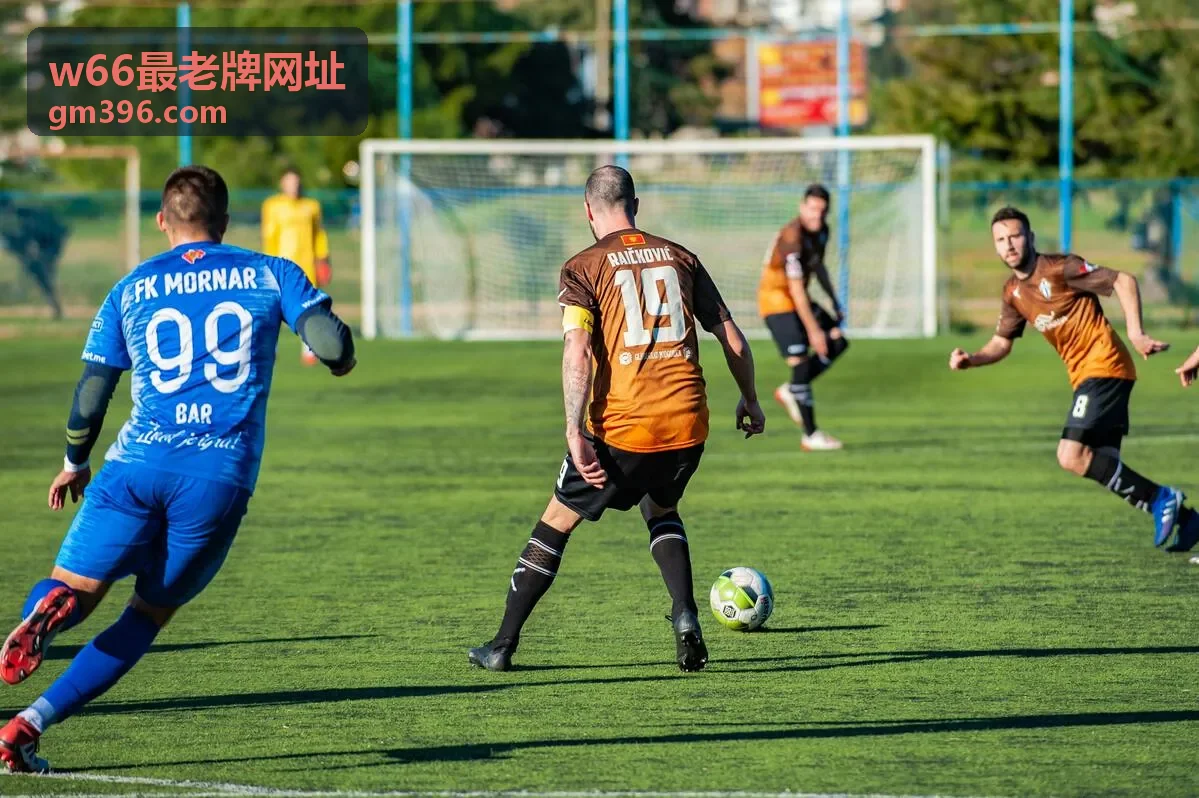 w66最老牌网址分类内容使用引导