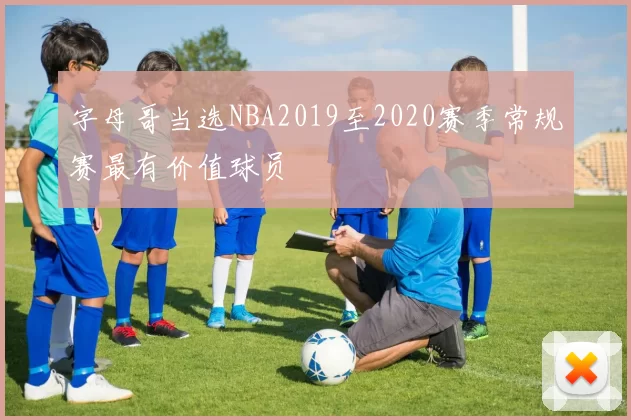 字母哥当选NBA2019至2020赛季常规赛最有价值球员