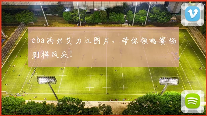 cba西尔艾力江图片，带你领略赛场别样风采！