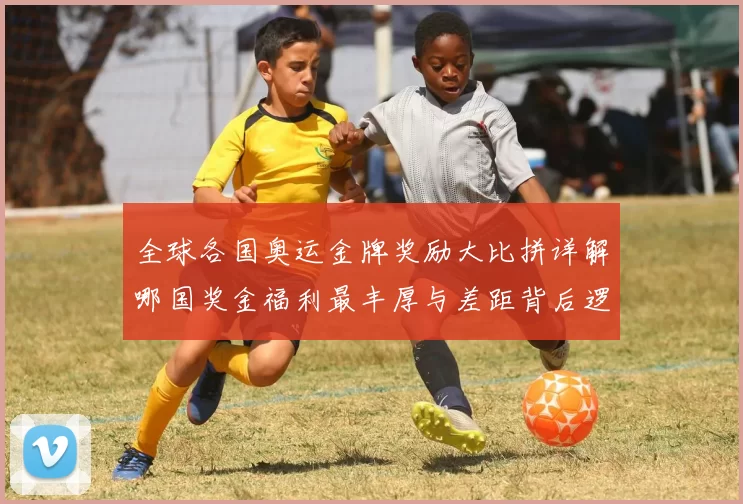 全球各国奥运金牌奖励大比拼详解哪国奖金福利最丰厚与差距背后逻辑