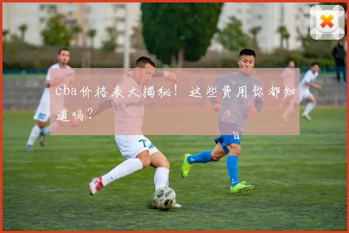 cba价格表大揭秘！这些费用你都知道吗？